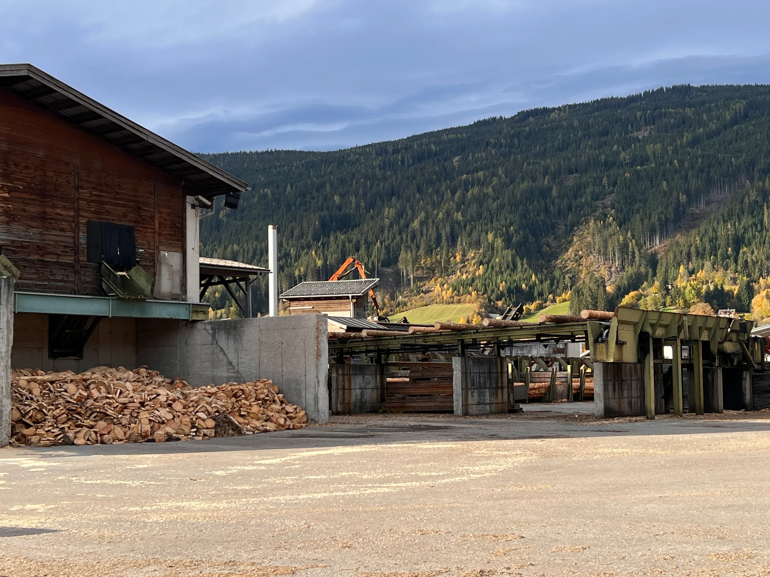 Třídírna kulatiny s odkorňovačem - Obrázek 6