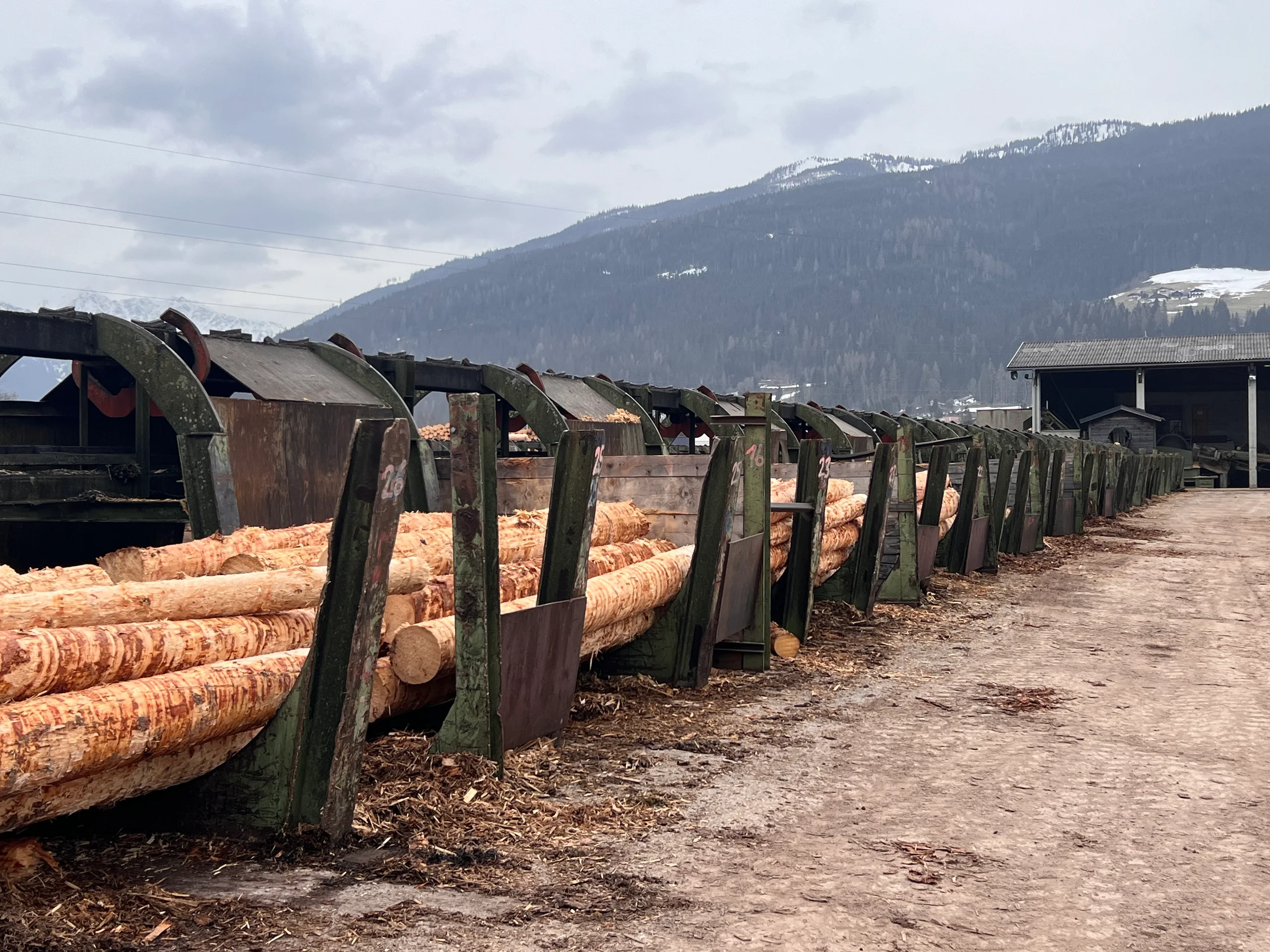Třídírna kulatiny s odkorňovačem - Obrázek 13