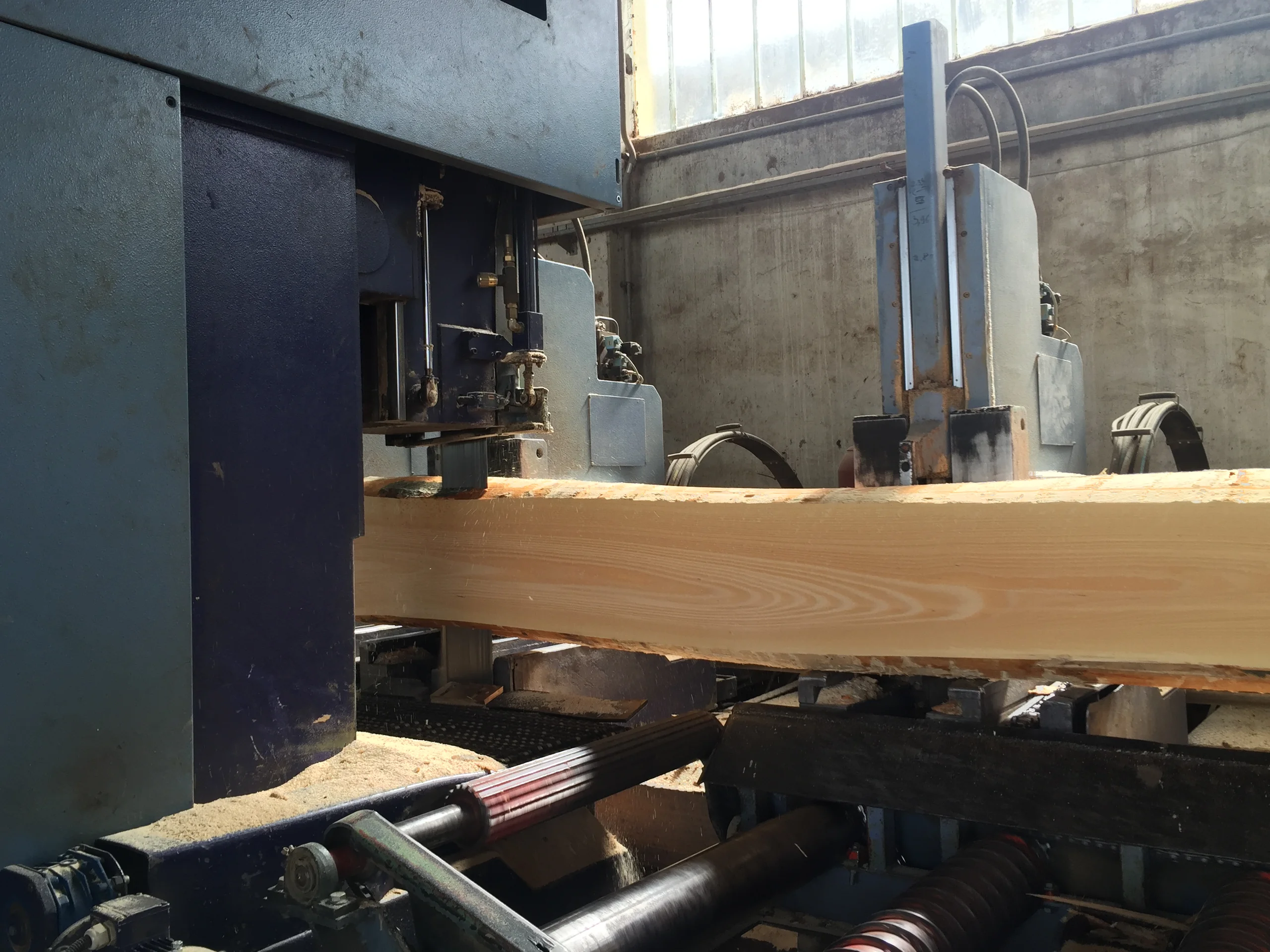 Pásová pila PRIMULTINI