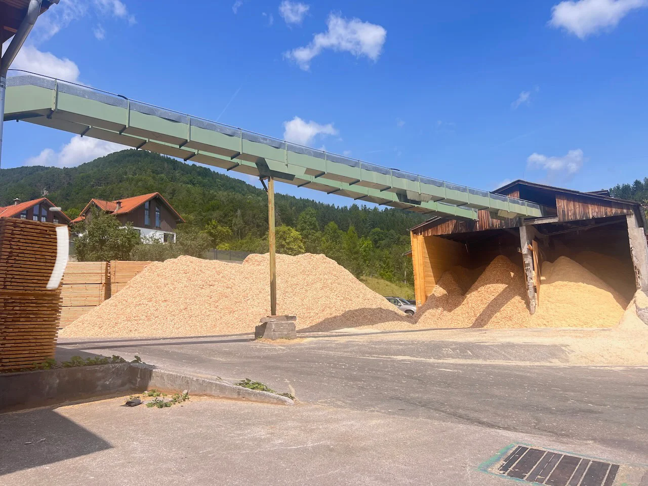 Kompletní pilařský systém: EWD - Springer - Nicholson.... - Obrázek 8